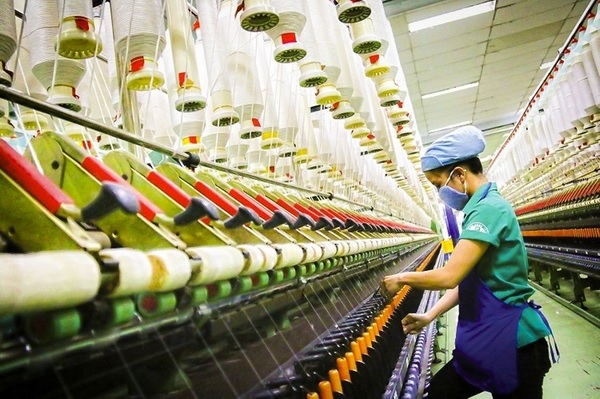 ISO 26000 và SA 8000: Tiêu chuẩn về nơi làm việc được chấp nhận toàn cầu