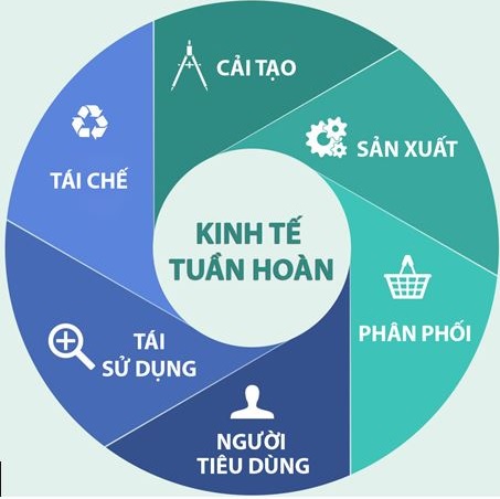 Kinh tế tuần hoàn – đo lường và đánh giá mức độ tuần hoàn