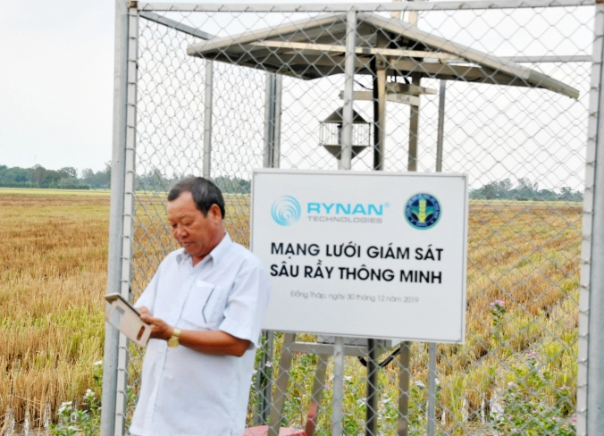 Hệ thống giám sát sâu rầy thông minh