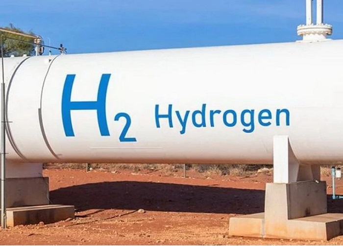 Brazil phát triển màng sinh học phân hủy từ vỏ hải sản để sản xuất hydro xanh
