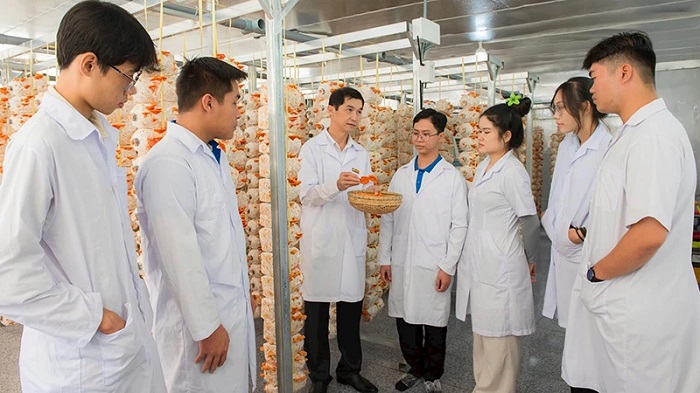 Đào tạo nguồn nhân lực nông nghiệp công nghệ cao