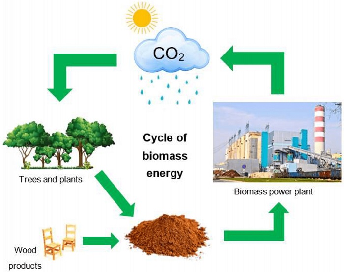 Vật liệu sinh học biết tự di chuyển nhờ năng lượng môi trường
