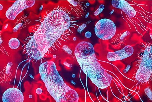 Thuốc kháng sinh thế hệ tiếp theo tiêu diệt siêu vi khuẩn, chỉ để lại vi khuẩn đường ruột tốt