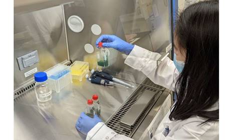 Nước trong có thể không an toàn do virus và tảo độc