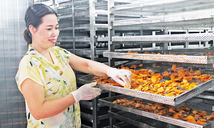 Doanh nghiệp vươn xa nhờ đổi mới công nghệ và chuyển đổi số