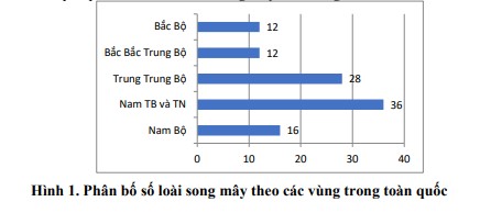 Nghiên cứu thành phần và đề xuất các loài song mây có giá trị kinh tế cao cho bảo tồn và gây trồng theo vùng sinh thái