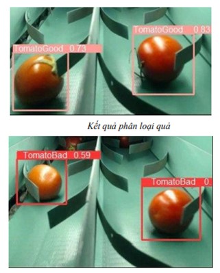 Nghiên cứu Phân loại hoa quả xuất khẩu bằng công nghệ xử lý ảnh kết hợp mạng trí tuệ nhân tạo