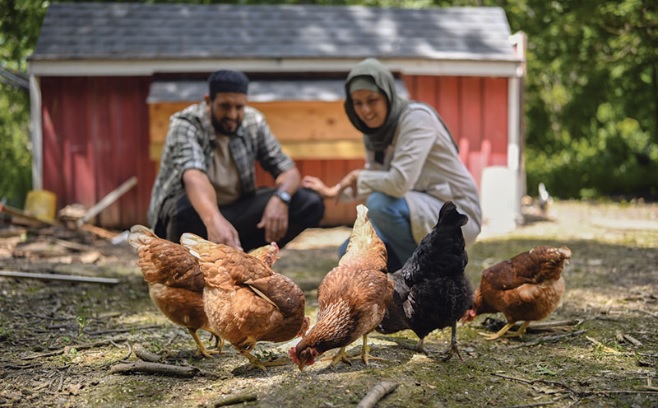 Điều kiện sản phẩm từ sinh vật biến đổi gen GMO sử dụng làm thức ăn chăn nuôi halal