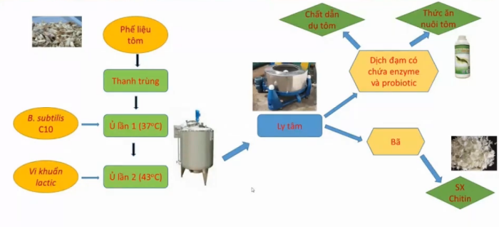 Xử lý phụ phẩm chế biến tôm bằng phương pháp vi sinh vật