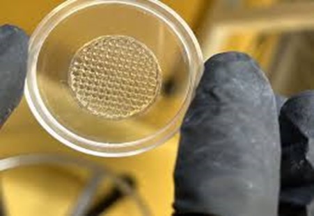 Da in 3D thay thế cho thử nghiệm trên động vật