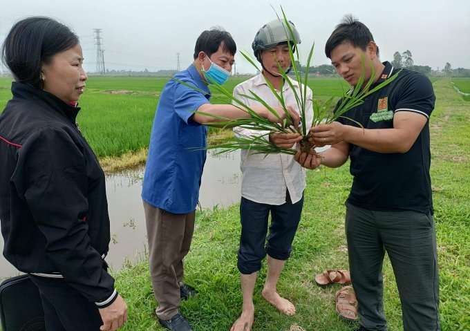 Kỹ sư 'hô biến' hạt giống nảy mầm siêu tốc