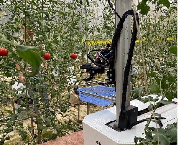 Chế tạo robot tự động thu hoạch hoa quả