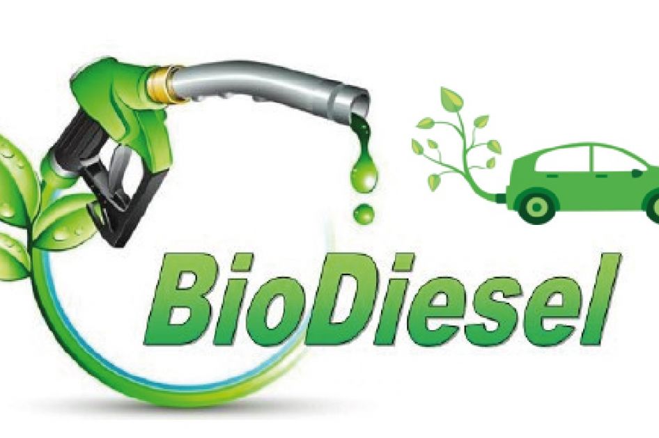 Sản xuất biodiesel với giá thành thấp: Một bước ngoặt mới