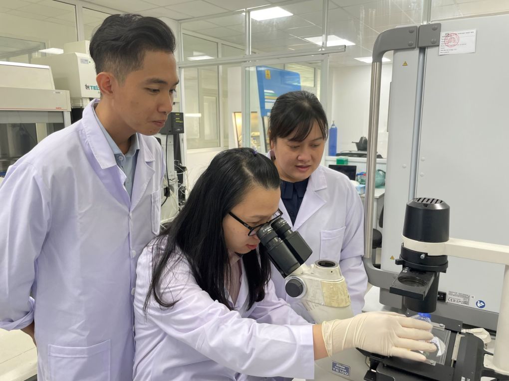 Tiến sĩ Việt nuôi cấy thành công tế bào gốc từ nang tóc