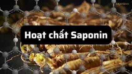 Nghiên cứu công nghệ sản xuất hoạt chất nhân sâm Saponin Rh Rg và chế phẩm adenosine cordycepin Polysaccharide protein trọng lượng phân tử thấp từ Cordyceps militaris