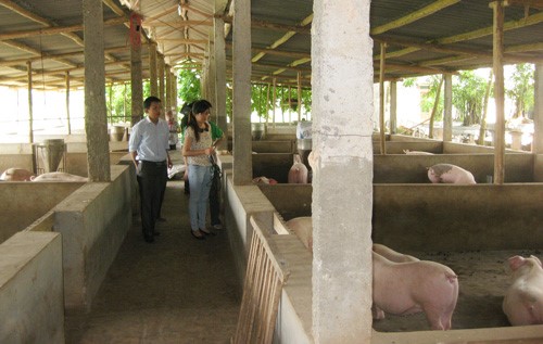 Nghiên cứu giải pháp lựa chọn công nghệ phù hợp xử lý chất thải (sinh hoạt nuôi nuôi) qui mô vừa và nhỏ phục vụ Chương trình xây dựng nông thôn mới vùng Bắc Trung Bộ