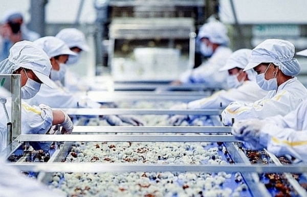 Áp dụng ISO 22000 – bước ‘chuyển mình’ mạnh mẽ của doanh nghiệp thực phẩm Việt