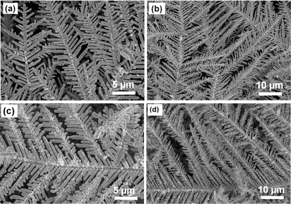 Nghiên cứu chế tạo các đế SERS (tán xạ Raman tăng cường bề mặt) có cấu trúc nano bạc dạng lá và hoa trên silic để phát hiện dư lượng thuốc bảo vệ thực vật