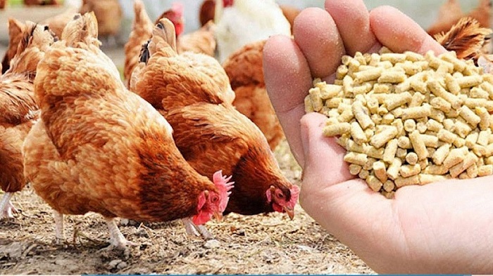 TCVN 9474:2024 về thử nghiệm đối với thức ăn chăn nuôi