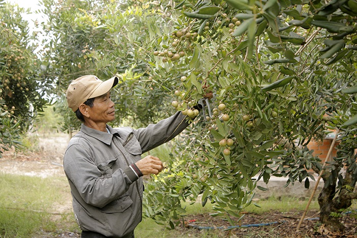Ứng dụng công nghệ mới trong trồng trọt