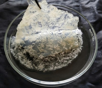Đột phá trong sản xuất da sinh học từ cellulose vi khuẩn và sợi nấm