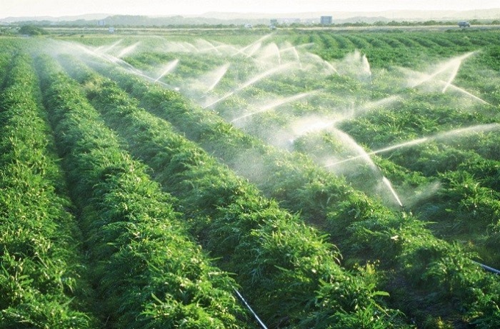 Sử dụng kỹ thuật đồng vị để đánh giá khả năng tích luỹ CO2 trong đất của một số mô hình canh tác nông nghiệp ở đồng bằng Bắc Bộ