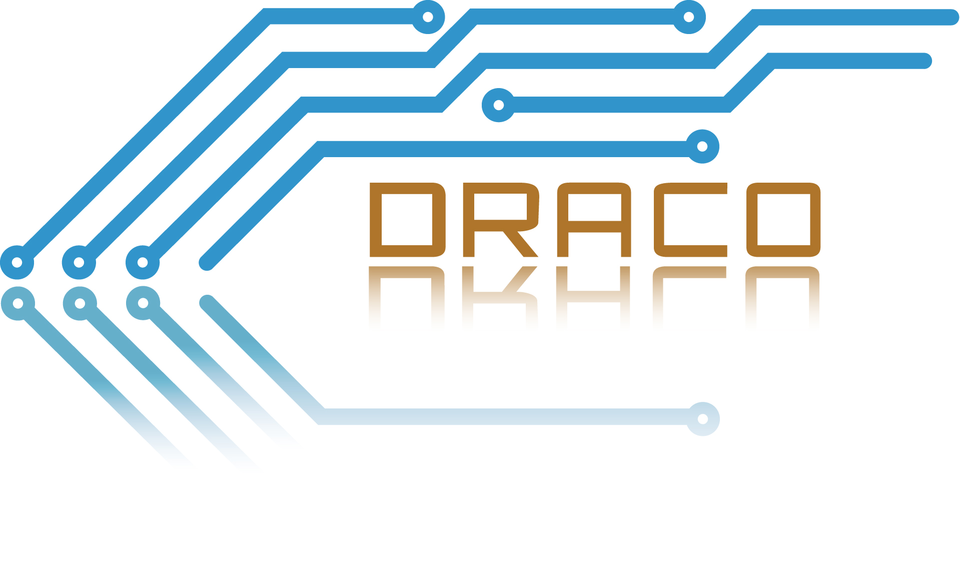 DRACO SCIENCE TECHNOLOGY COMPANY LIMITED