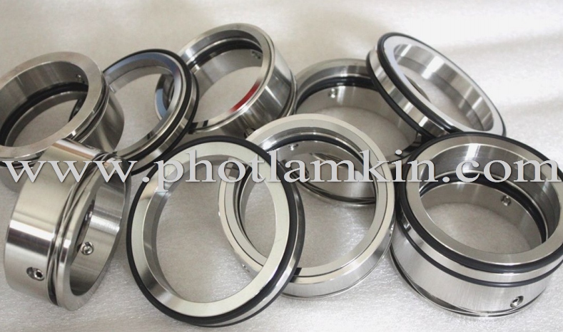 Phớt cho bơm Hilge - Đức