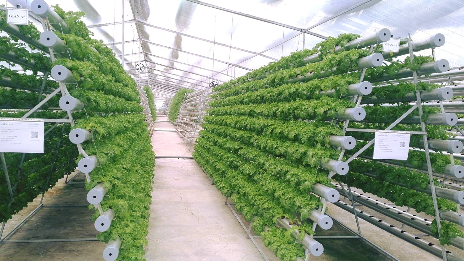Nông nghiệp Công nghệ cao Vifarm