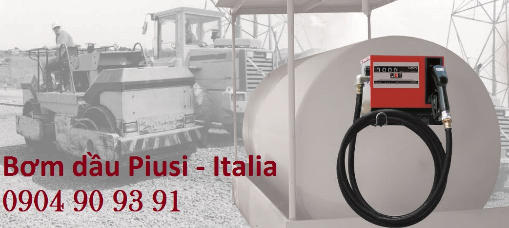 bơm dầu diesel Piusi Cube 56/33 230V,hộp bơm cấp phát cube 56/33,bộ bơm dầu mini cube 56/33