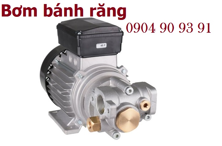 Máy bơm dầu nhớt Piusi Viscomat 200/2M 230V,bơm dầu nhớt bánh răng Piusi 200/2M,bơm dầu nhớt mini 220v