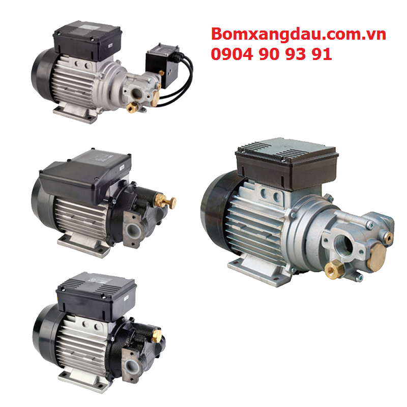 Bơm dầu bánh răng Piusi Viscomat 200/2M