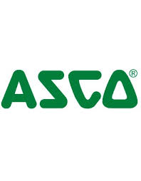 Stock và phân phối các sản phẩm của Asco (Emerson)