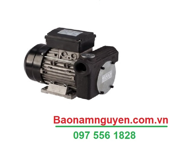 BƠM DẦU TRUNG QUỐC DYB-80