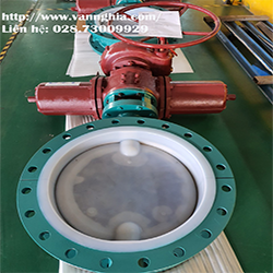 VAN BƯỚM BỌC PTFE