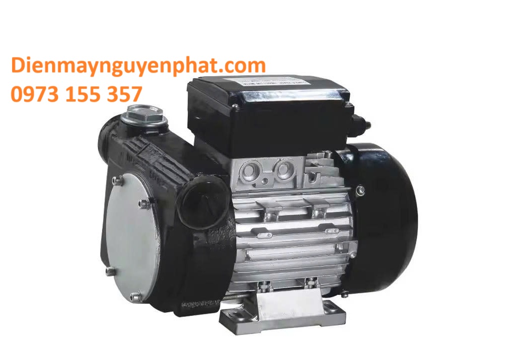 Bơm dầu diesel DYB-80, bơm dầu 220V Model DYB-80, Bơm dầu diesel 80 Lít/phút
