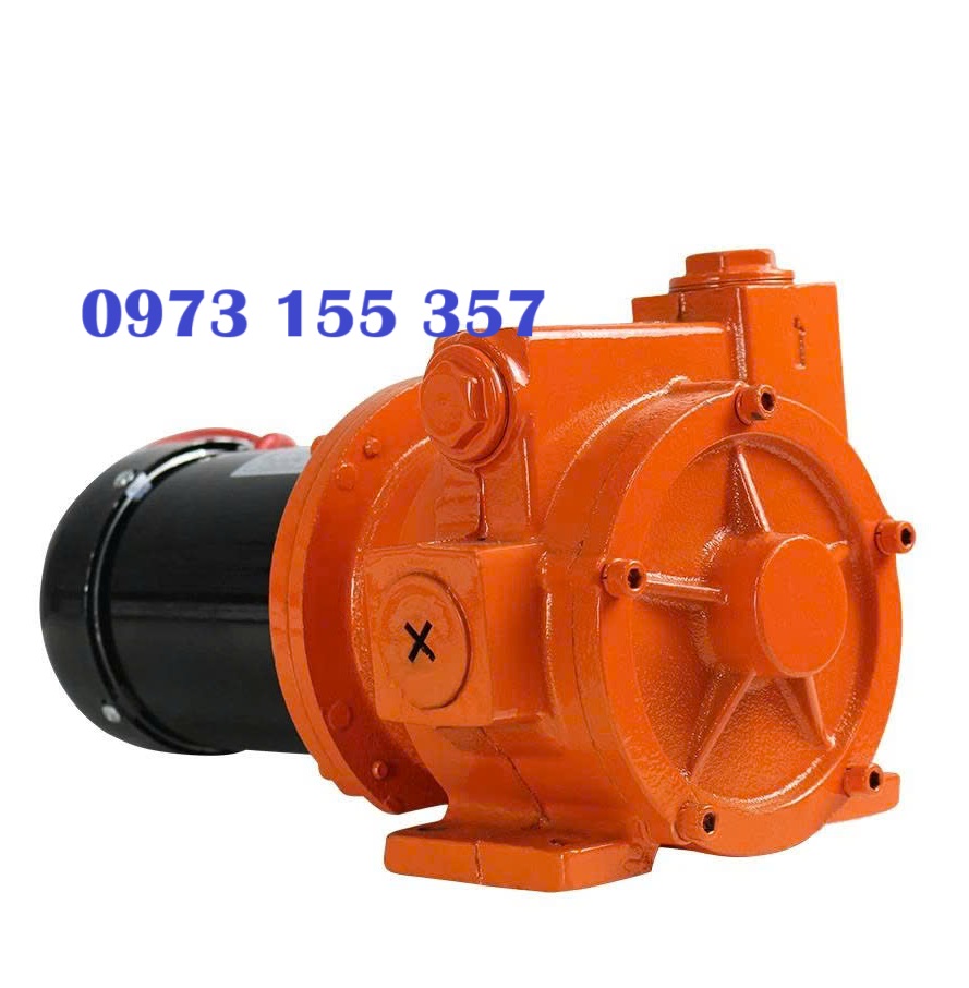 Bơm dầu diesel DYB-100 24V, Bơm dầu 24V DYB-100