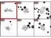 Isis - Comparative Genomic Hybridization (CGH)