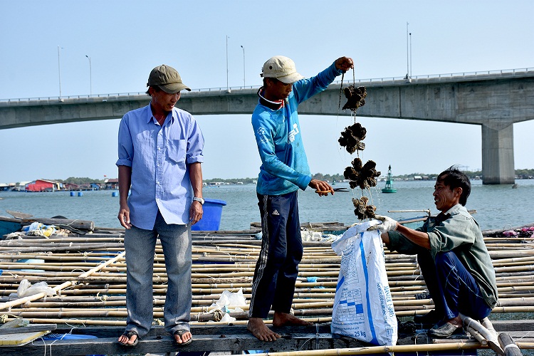 Thúc đẩy ứng dụng khoa học- công nghệ vào nông nghiệp