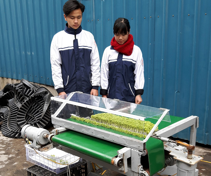 Hai học sinh chế tạo máy cắt rau mầm tự động