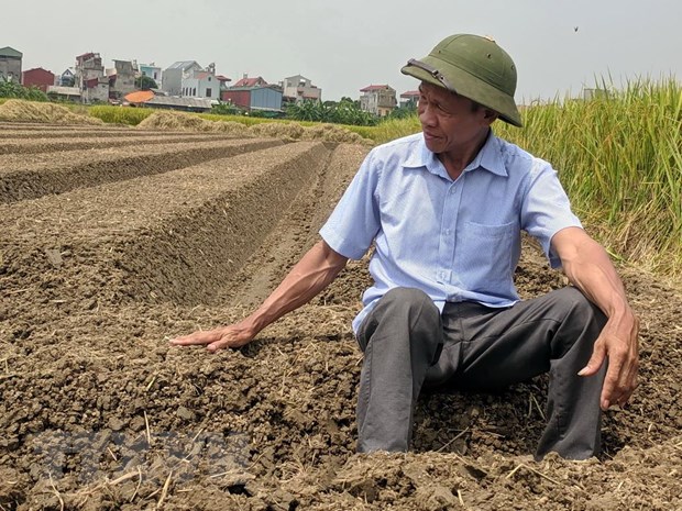 Niềm đam mê sáng chế của một nông dân 'chân lấm, tay bùn'