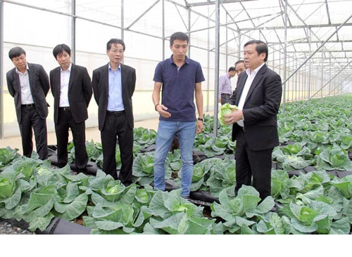 Đề xuất một số giải pháp để ứng dụng công nghệ cao trong sản xuất nông nghiệp tại các tỉnh phía Nam