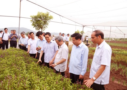 Phó Thủ tướng Vũ Đức Đam thăm Khu thực nghiệm sản xuất Nông nghiệp công nghệ cao tại Bắc Ninh