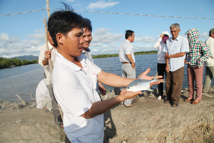 Tập huấn đầu bờ về kỹ thuật nuôi cá chim vây vàng tại xã Long Sơn