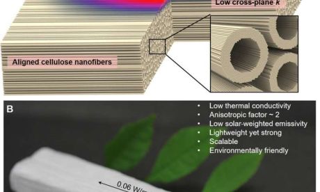 Gỗ nano có thể giảm phát thải cacbon