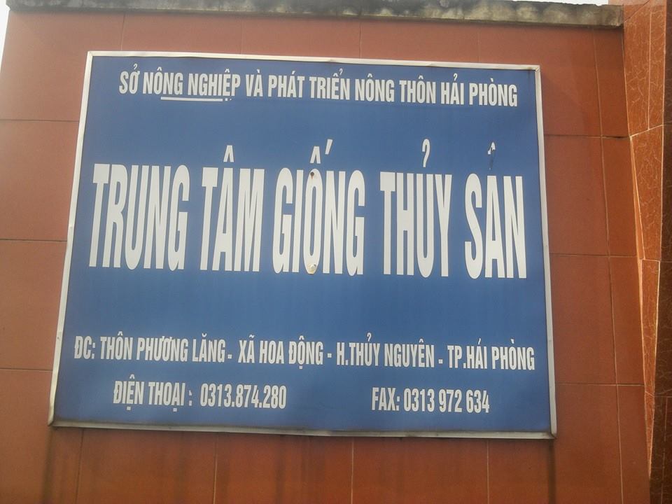 Dịch vụ tư vấn kỹ thuật và dịch vụ thủy sản