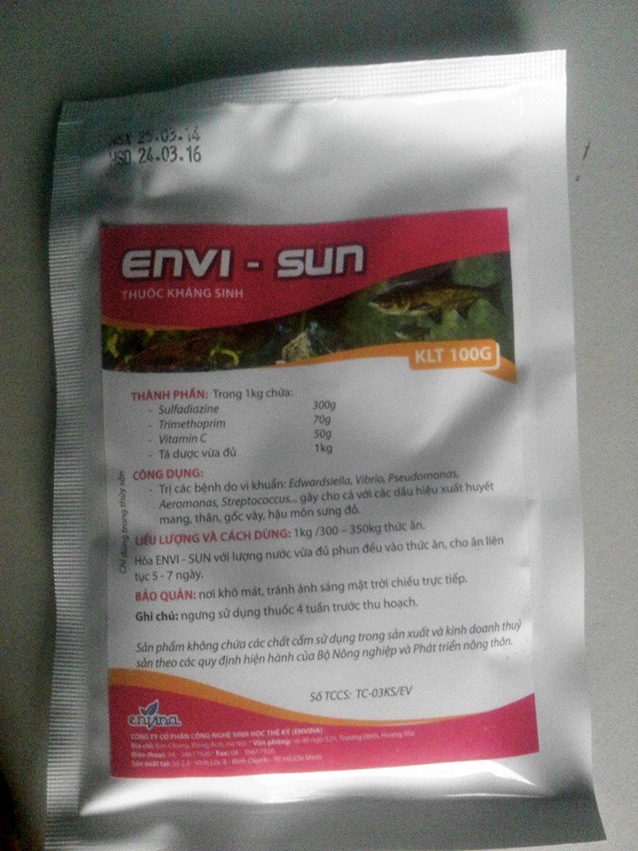 Envi-Sun
