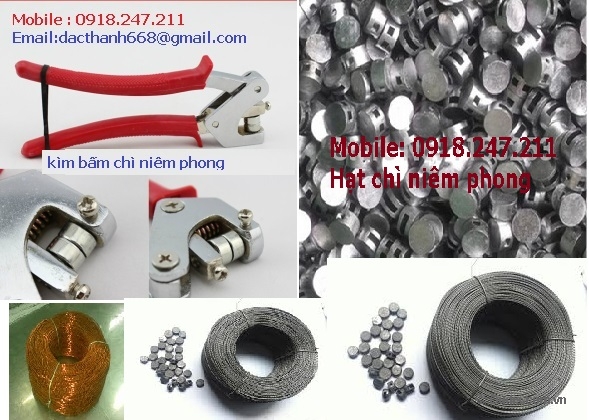 Bìa lót tiền