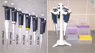 Micropipet