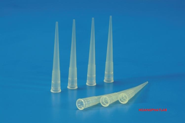 Đầu tuýp (Đầu cone)